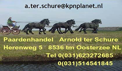 Paardenhandel ter Schure